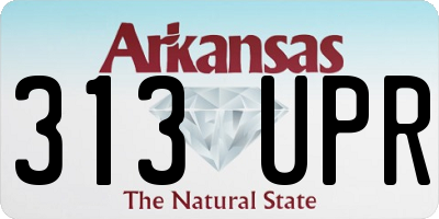 AR license plate 313UPR