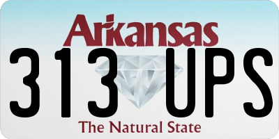 AR license plate 313UPS
