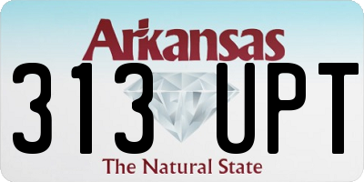 AR license plate 313UPT