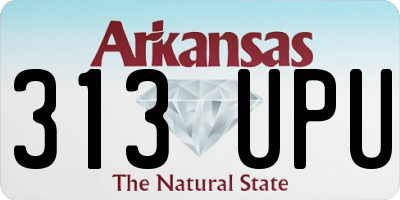 AR license plate 313UPU