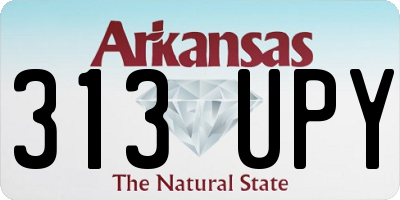 AR license plate 313UPY