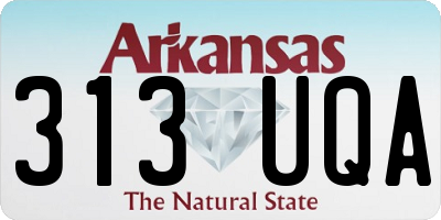 AR license plate 313UQA