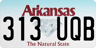 AR license plate 313UQB