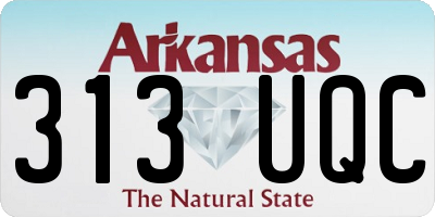 AR license plate 313UQC