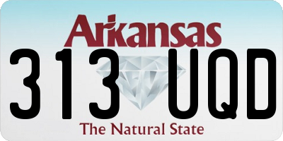 AR license plate 313UQD