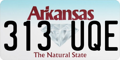 AR license plate 313UQE