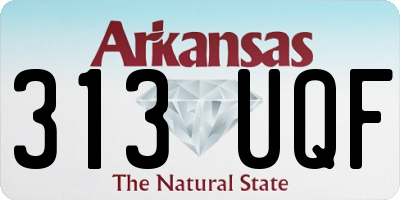 AR license plate 313UQF