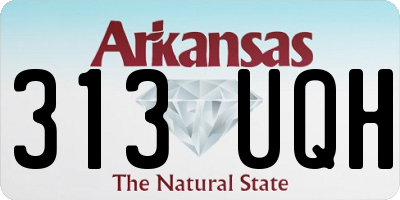 AR license plate 313UQH