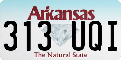 AR license plate 313UQI