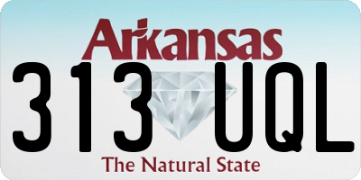 AR license plate 313UQL