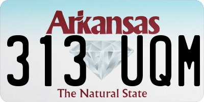AR license plate 313UQM