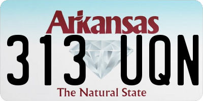 AR license plate 313UQN