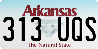 AR license plate 313UQS