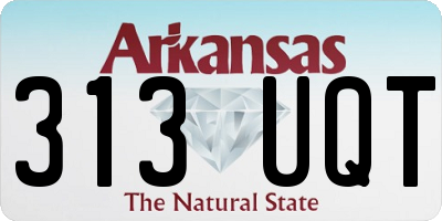 AR license plate 313UQT
