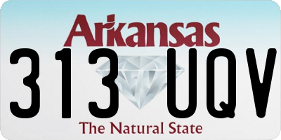 AR license plate 313UQV