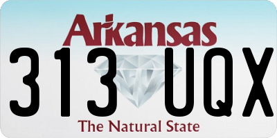 AR license plate 313UQX