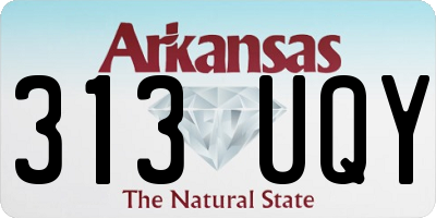 AR license plate 313UQY