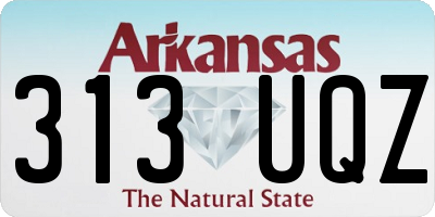 AR license plate 313UQZ