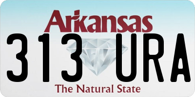 AR license plate 313URA