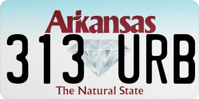 AR license plate 313URB