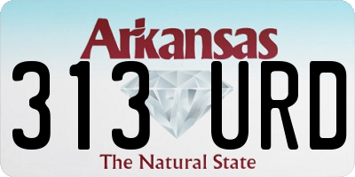 AR license plate 313URD