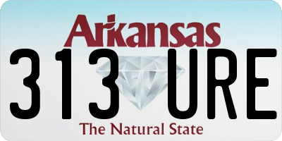 AR license plate 313URE