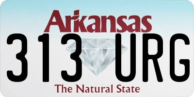 AR license plate 313URG