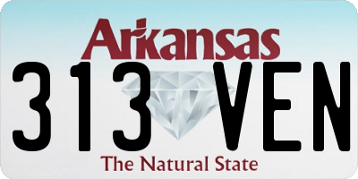 AR license plate 313VEN