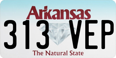 AR license plate 313VEP
