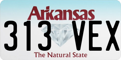 AR license plate 313VEX