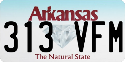 AR license plate 313VFM