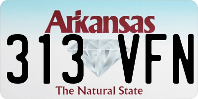 AR license plate 313VFN
