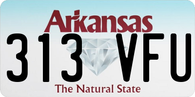 AR license plate 313VFU