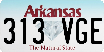 AR license plate 313VGE
