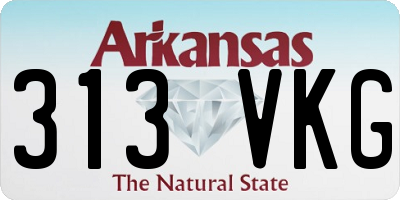 AR license plate 313VKG