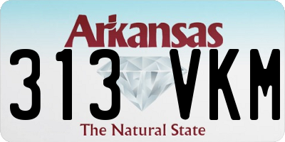 AR license plate 313VKM