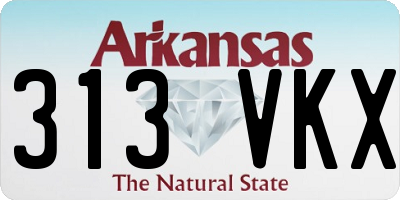 AR license plate 313VKX