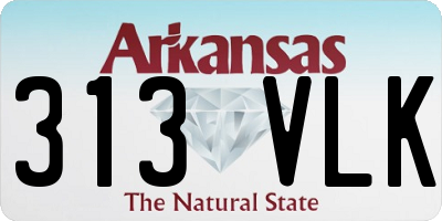 AR license plate 313VLK