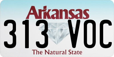 AR license plate 313VOC