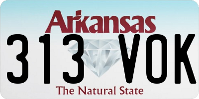 AR license plate 313VOK