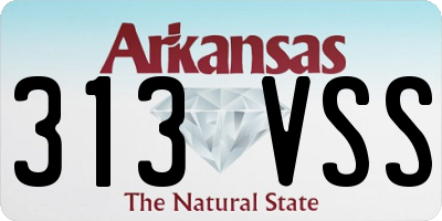 AR license plate 313VSS