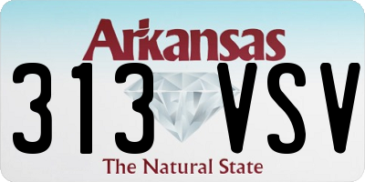 AR license plate 313VSV