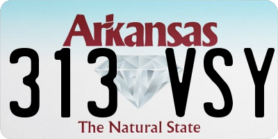 AR license plate 313VSY