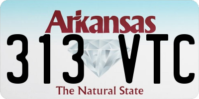 AR license plate 313VTC