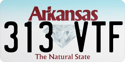 AR license plate 313VTF