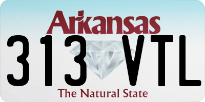 AR license plate 313VTL