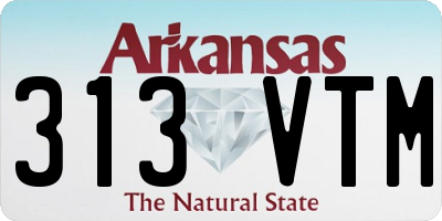 AR license plate 313VTM