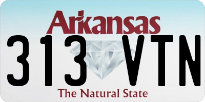 AR license plate 313VTN