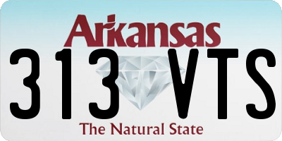 AR license plate 313VTS