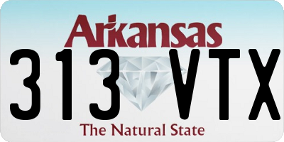 AR license plate 313VTX